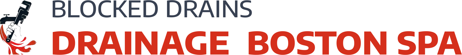 website logo
